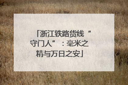 浙江铁路货线“守门人”：毫米之精与万日之安